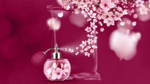 1920 SLDP SL Sakura a